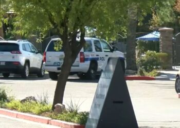 Cruel mom in Nevada brutally tries to kill her own son when he cryingly dialled 911 for help.