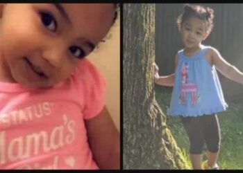 Nalani Johnson Months after tot girl was killed & left in car seat in park, rideshare driver charged with homicide