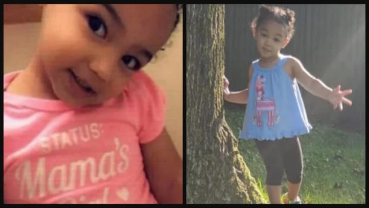 Nalani Johnson Months after tot girl was killed & left in car seat in park, rideshare driver charged with homicide