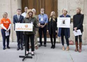 Survivors rally at Epstein's mansion for updates to Child Victims Act.