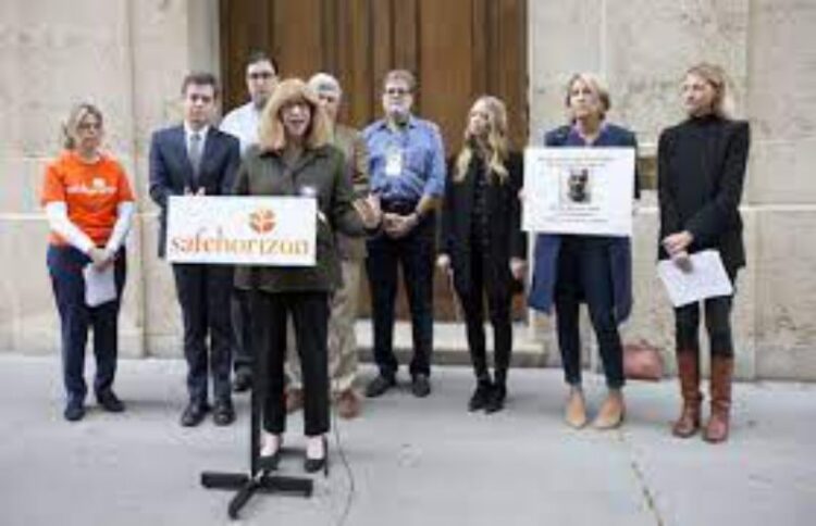 Survivors rally at Epstein's mansion for updates to Child Victims Act.