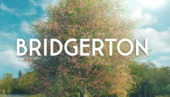 The Bridgerton Chronicle is a real hit on Netflix