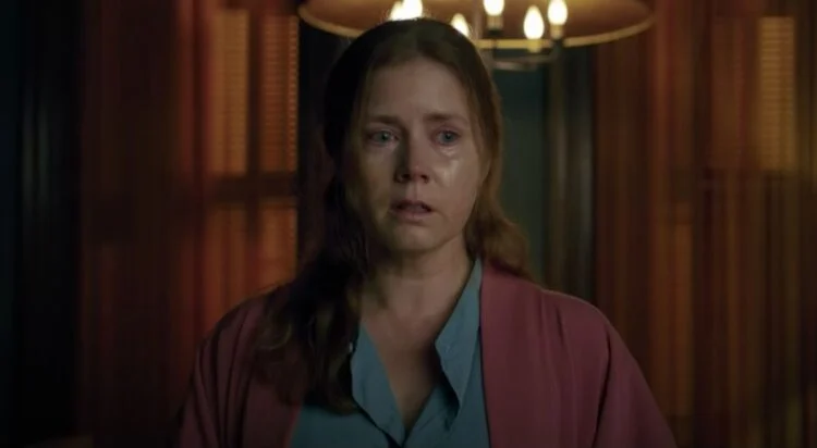 Woman In The Window Amy Adams' Movie Can Release On Netflix