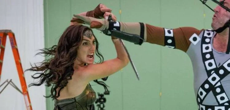 Gal Gadot shares BTS's image of Wonder Woman and Cheetah Fight