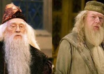 Harry Potter Ian MacLean said no, but would he be a better Dumbledore
