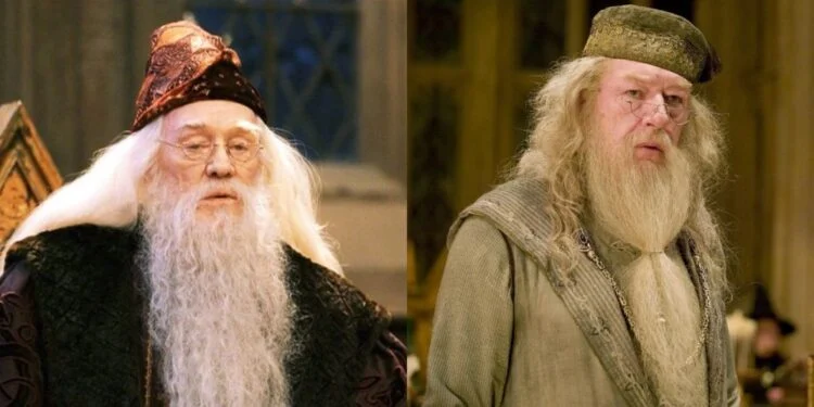 Harry Potter Ian MacLean said no, but would he be a better Dumbledore