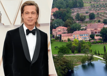 Brad Pitt spent a year sifting through for buried treasures on his French estate