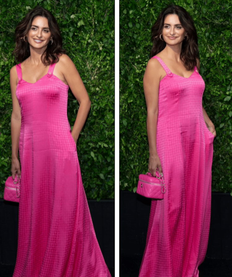 Penelope Cruz, in a hot pink dress, chaired the red carpet for the Gala Dinner in New York