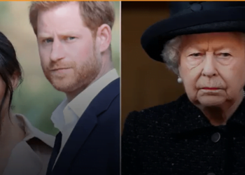 Prince Harry and Meghan Markle spent 15 'official' minutes with Queen Elizabeth II during the platinum anniversary