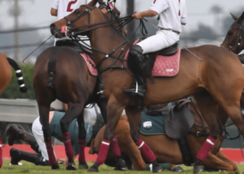 While playing polo, Prince Harry fell off his horse
