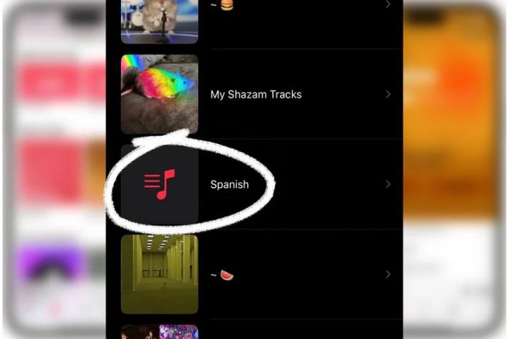 Customers of Apple Music have Reported Being Able to View the Playlists of Other Users Within Their Own Libraries_