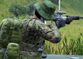 cropped-DayZ-2.jpg