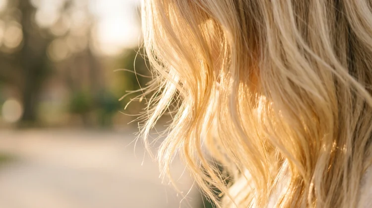 Detailed close-up of bright blonde hair strands in soft light.