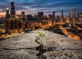 A conceptual image of a green plant growing through a crack in a concrete sidewalk.