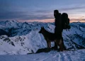 A silhouette of a man and a German Shepherd in a snowy mountain landscape.