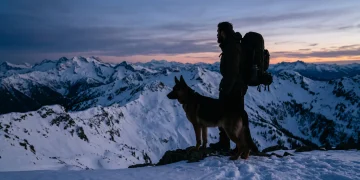 A silhouette of a man and a German Shepherd in a snowy mountain landscape.