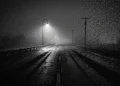 A high-contrast film noir inspired highway at night with long shadows.