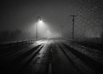 A high-contrast film noir inspired highway at night with long shadows.