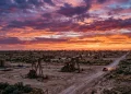 A vast West Texas oil field with machinery operating at sunset.