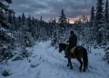 A lone rider on horseback in a snow-covered forest during a cold winter evening.